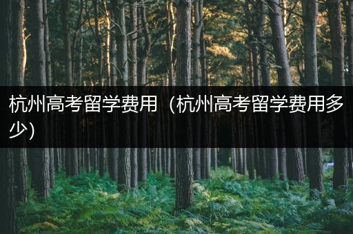 杭州高考留学费用（杭州高考留学费用多少）