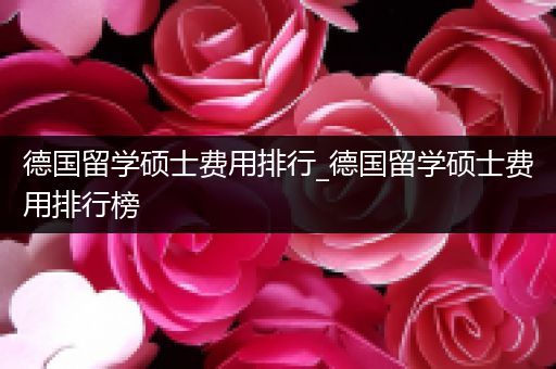 德国留学硕士费用排行_德国留学硕士费用排行榜