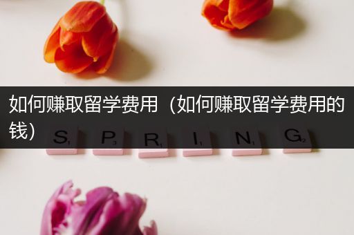 如何赚取留学费用（如何赚取留学费用的钱）