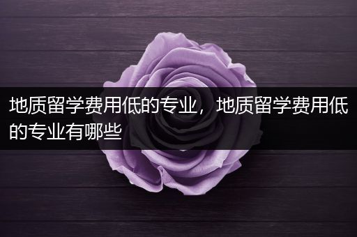 地质留学费用低的专业，地质留学费用低的专业有哪些