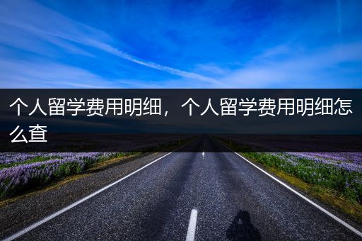 个人留学费用明细，个人留学费用明细怎么查