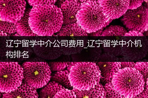 辽宁留学中介公司费用_辽宁留学中介机构排名
