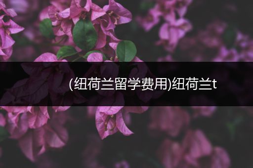 （纽荷兰留学费用)纽荷兰t