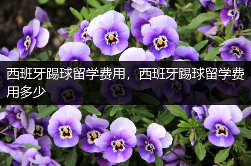 西班牙踢球留学费用，西班牙踢球留学费用多少