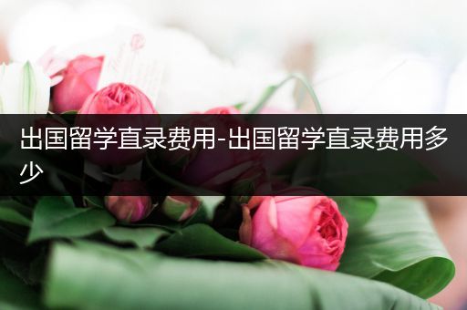 出国留学直录费用-出国留学直录费用多少