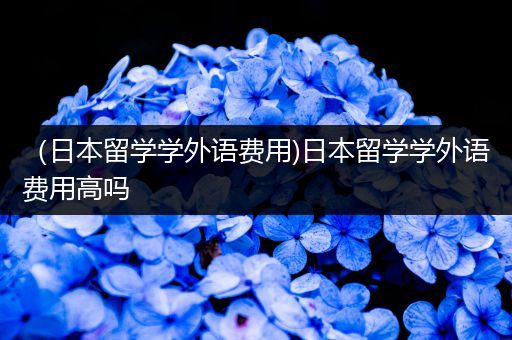 （日本留学学外语费用)日本留学学外语费用高吗