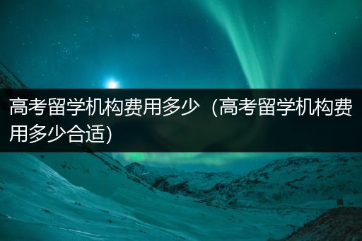 高考留学机构费用多少（高考留学机构费用多少合适）
