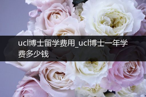 ucl博士留学费用_ucl博士一年学费多少钱
