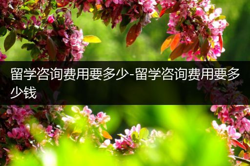 留学咨询费用要多少-留学咨询费用要多少钱