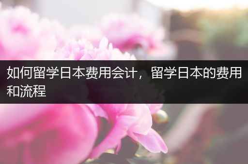 如何留学日本费用会计，留学日本的费用和流程