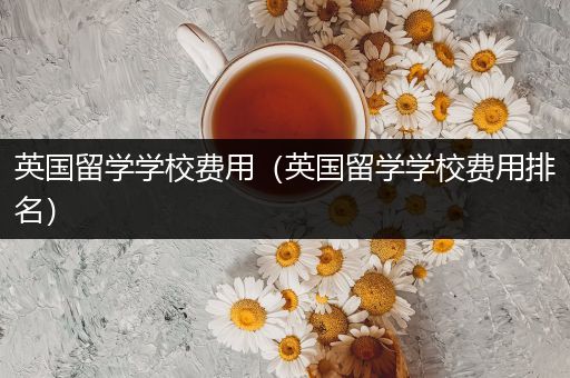 英国留学学校费用（英国留学学校费用排名）