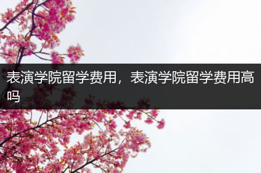 表演学院留学费用，表演学院留学费用高吗