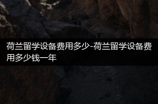 荷兰留学设备费用多少-荷兰留学设备费用多少钱一年