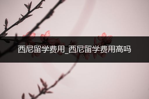 西尼留学费用_西尼留学费用高吗