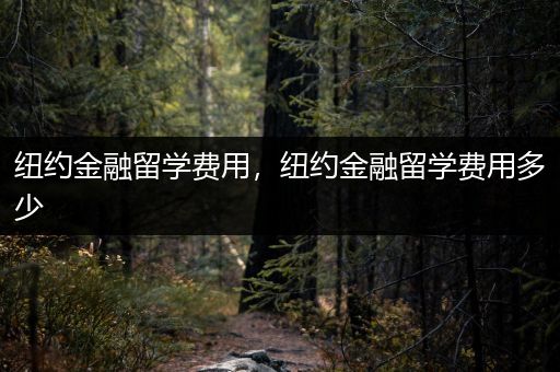 纽约金融留学费用，纽约金融留学费用多少