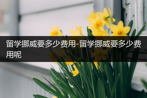 留学挪威要多少费用-留学挪威要多少费用呢