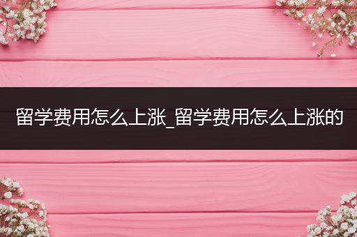 留学费用怎么上涨_留学费用怎么上涨的