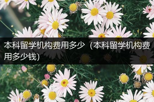 本科留学机构费用多少（本科留学机构费用多少钱）