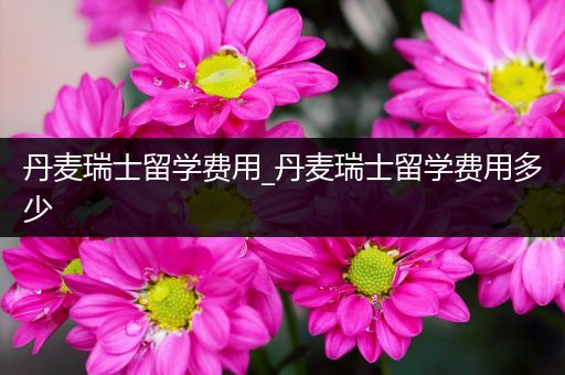 丹麦瑞士留学费用_丹麦瑞士留学费用多少