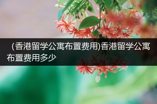 （香港留学公寓布置费用)香港留学公寓布置费用多少