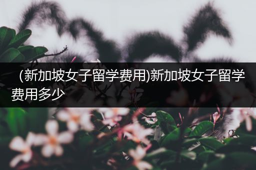 （新加坡女子留学费用)新加坡女子留学费用多少