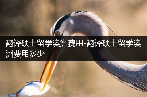 翻译硕士留学澳洲费用-翻译硕士留学澳洲费用多少