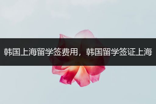 韩国上海留学签费用，韩国留学签证上海