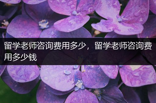 留学老师咨询费用多少，留学老师咨询费用多少钱