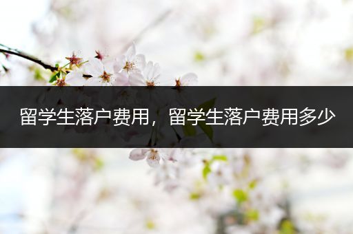 留学生落户费用，留学生落户费用多少