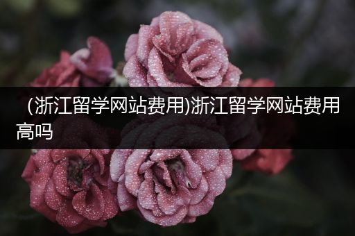 （浙江留学网站费用)浙江留学网站费用高吗
