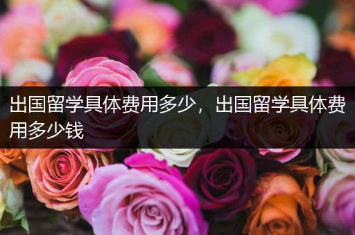 出国留学具体费用多少，出国留学具体费用多少钱