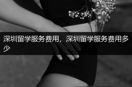 深圳留学服务费用，深圳留学服务费用多少