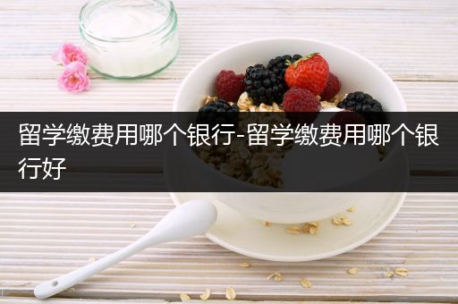 留学缴费用哪个银行-留学缴费用哪个银行好