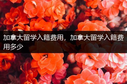 加拿大留学入籍费用，加拿大留学入籍费用多少
