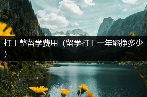 打工整留学费用（留学打工一年能挣多少）