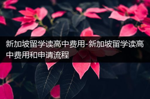 新加坡留学读高中费用-新加坡留学读高中费用和申请流程