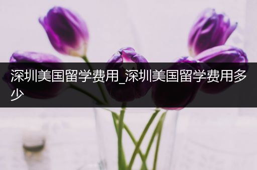 深圳美国留学费用_深圳美国留学费用多少