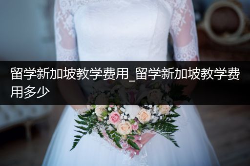 留学新加坡教学费用_留学新加坡教学费用多少