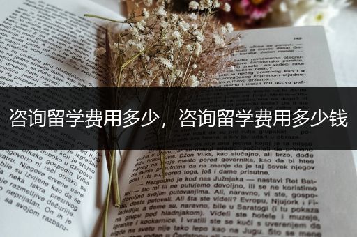 咨询留学费用多少，咨询留学费用多少钱