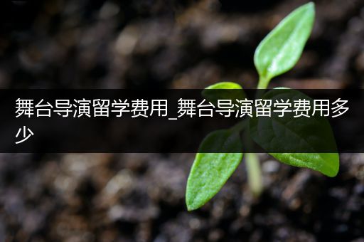 舞台导演留学费用_舞台导演留学费用多少
