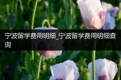 宁波留学费用明细_宁波留学费用明细查询