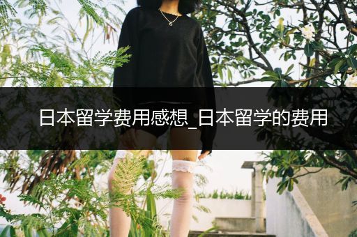 日本留学费用感想_日本留学的费用