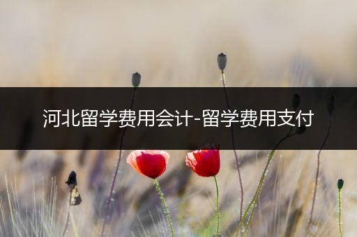 河北留学费用会计-留学费用支付