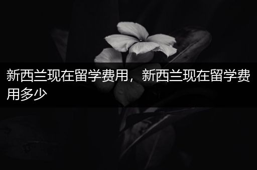 新西兰现在留学费用，新西兰现在留学费用多少