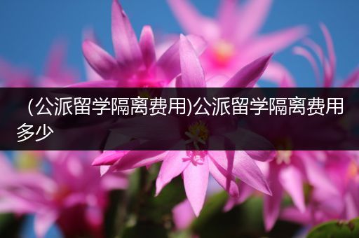 （公派留学隔离费用)公派留学隔离费用多少