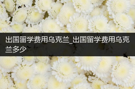 出国留学费用乌克兰_出国留学费用乌克兰多少