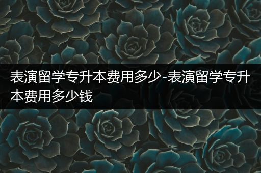 表演留学专升本费用多少-表演留学专升本费用多少钱