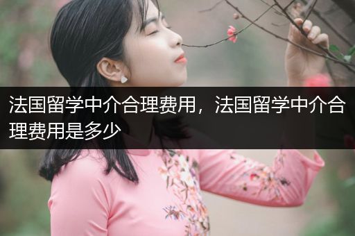 法国留学中介合理费用，法国留学中介合理费用是多少