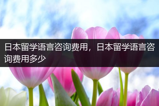日本留学语言咨询费用，日本留学语言咨询费用多少