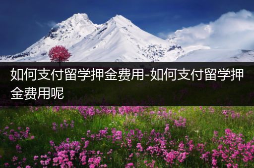 如何支付留学押金费用-如何支付留学押金费用呢